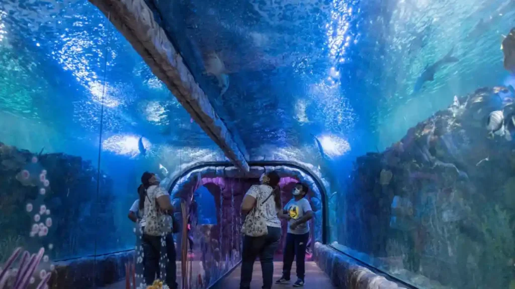 Visitantes del Acuario Inbursa.