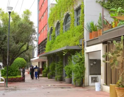 Calles de Polanco.