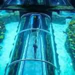 Acuario Michin Puebla.