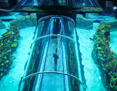 Acuario Michin Puebla.