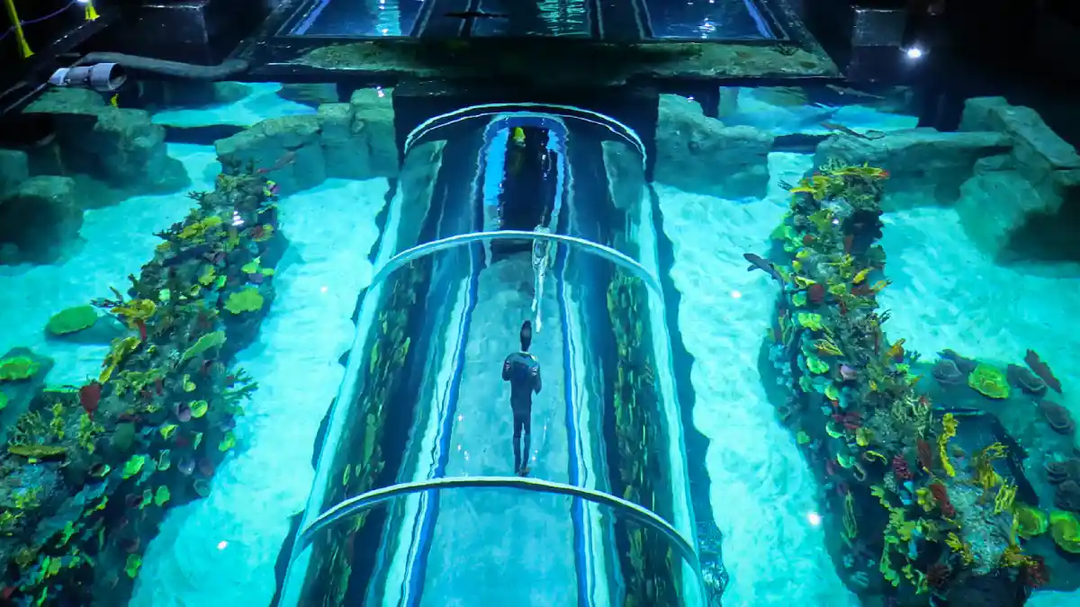 Acuario Michin Puebla.