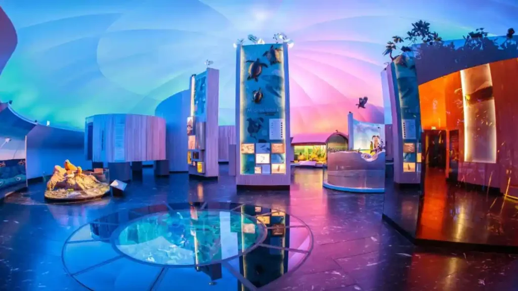 Instalaciones del Museo de Historia Natural, recinto que participará en la Noche de Museos de marzo 2026 en CDMX. Foto: Facebook: Museo de Historia