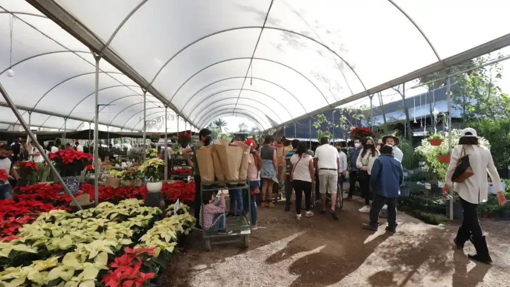 Personas comprando en un vivero de Atlixco. Foto: EsImagen