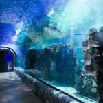 Instalaciones del Acuario Inbursa.