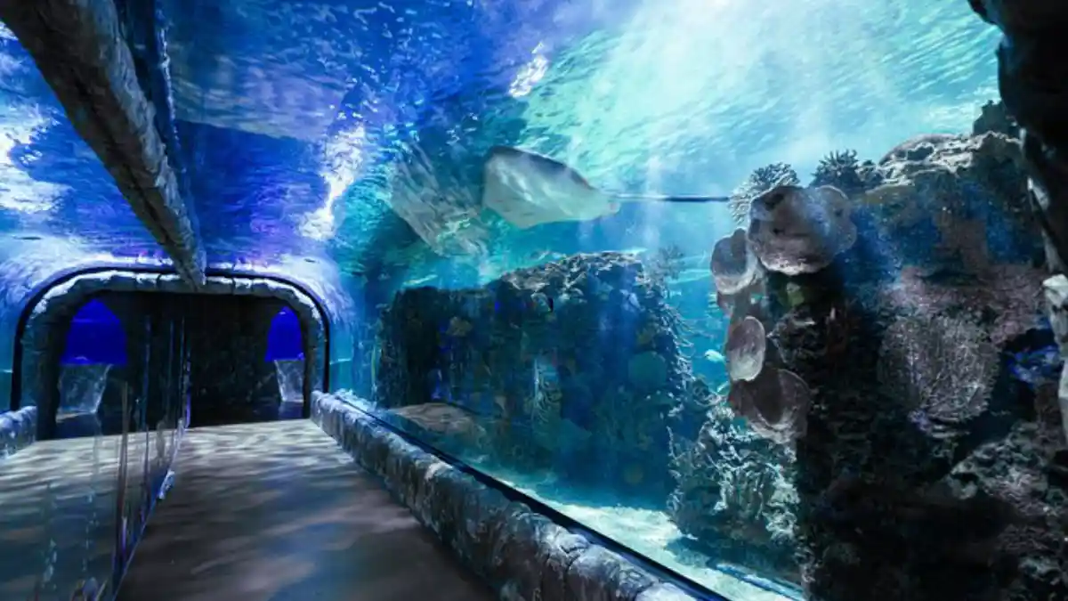 Instalaciones del Acuario Inbursa.
