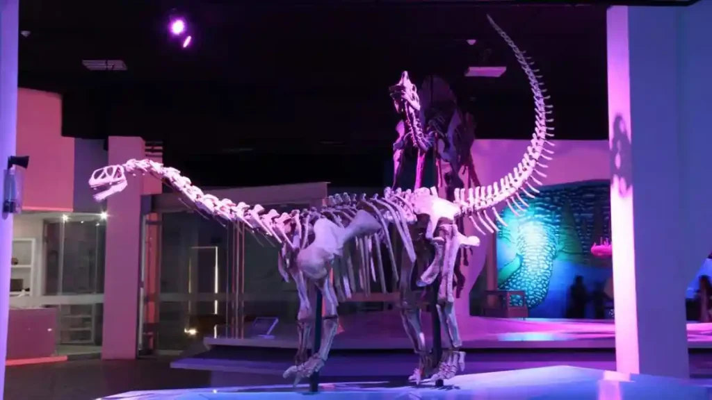 Museo de la Evolución de Puebla.