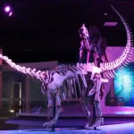 Museo de la Evolución de Puebla.